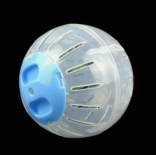 Small pet hamster exercise - small,