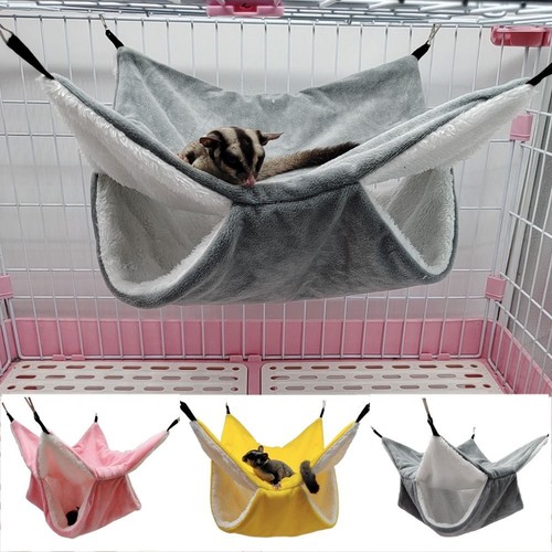Pet ferret rat squirrel bird - pet,