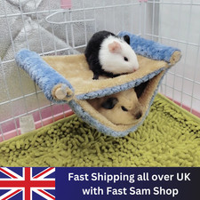 Ferret Rat Squirrel Pet Bird