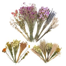 Natural Hamster Bedding Edible