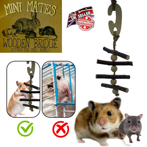 Pet small animal - pet,