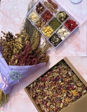 Ultimate Hamster Bundle With