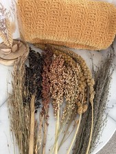 125g Hamster, Gerbils, Mice &